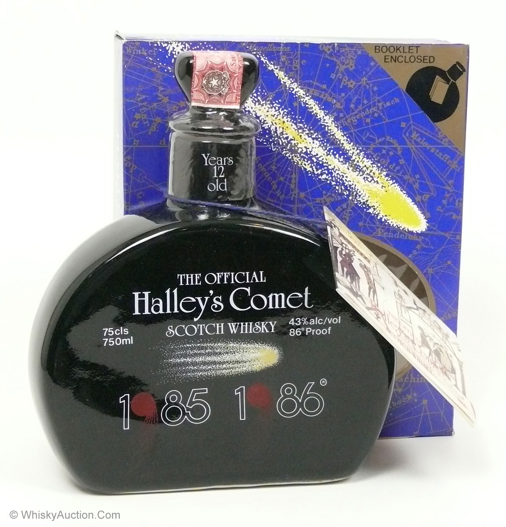 Halley's Comet